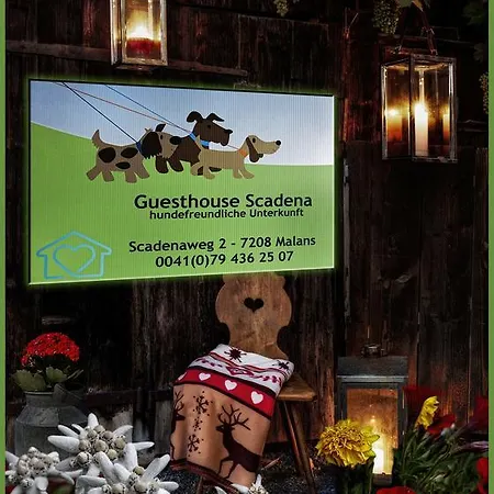 Dog Friendly Scadena Guest house 3*